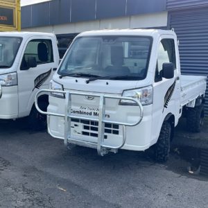 2022/2023 Daihatsu Hijet white farm truck