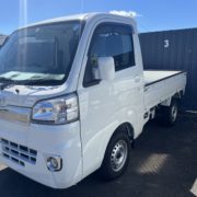 Daihatsu Hijet 2022- white farm truck-blue sky
